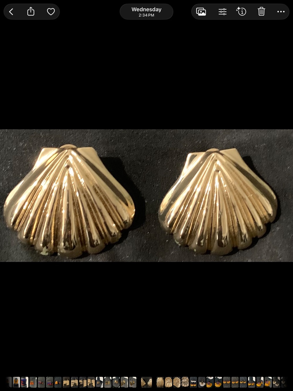 Gold Shell Stud Earrings